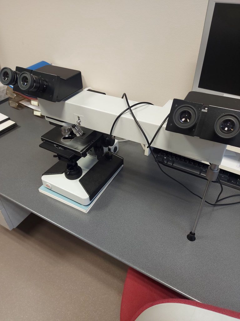 LEICA LABORLUX S biheaded teaching Microscope – medistore-france